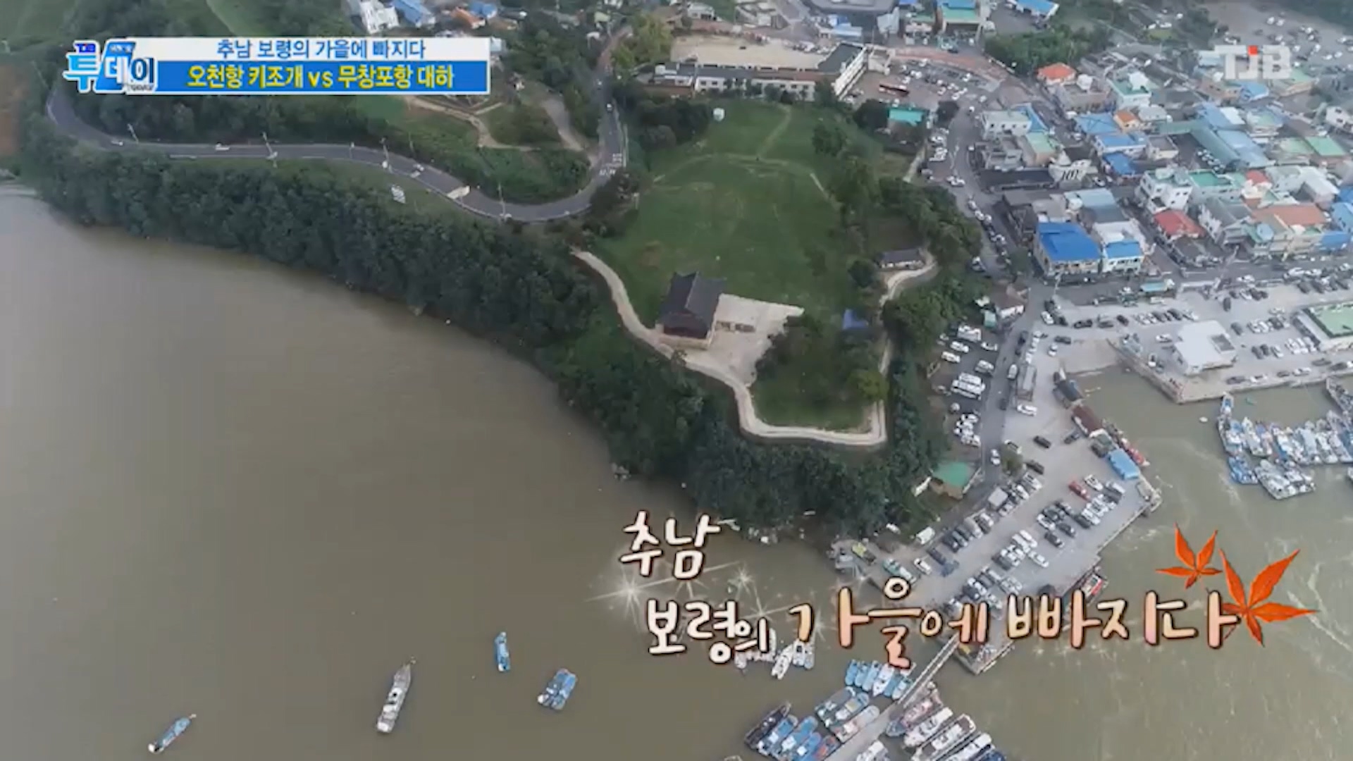 [0914 TJB 6시 생방송 투데이]오천항 키조개 무창포 대하